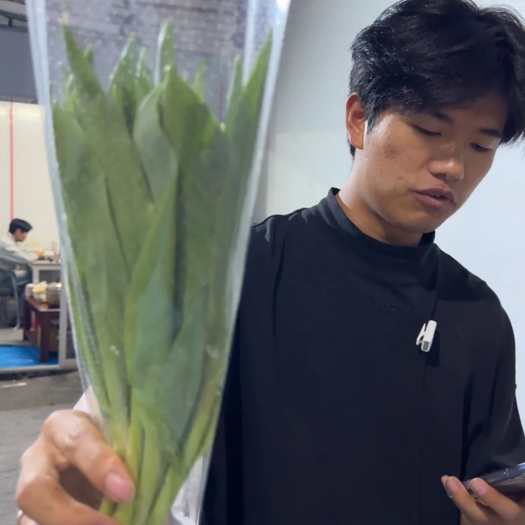 粉色郁金香短杆1扎包邮价秒杀