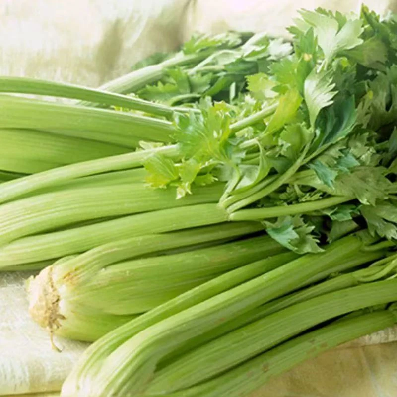 芹菜   约400g02236