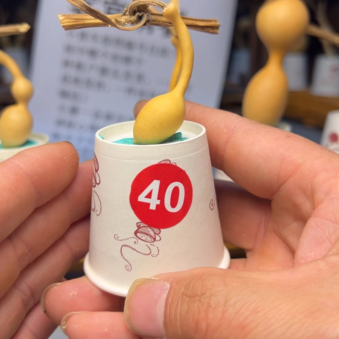 闪电购自助下单编号40