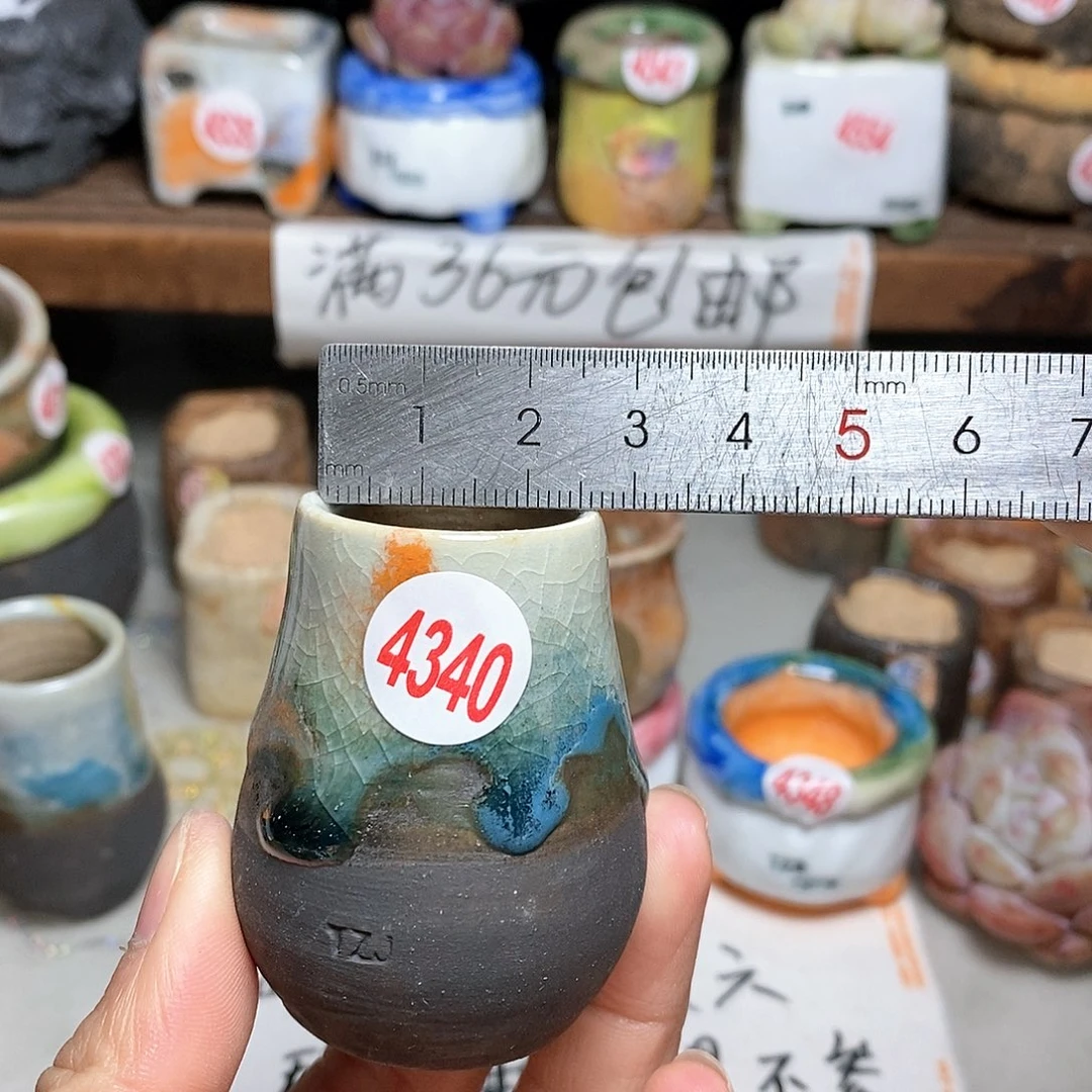 红陶拍5送一个小