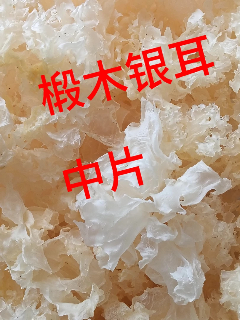 山地椴木银耳无硫干货250g