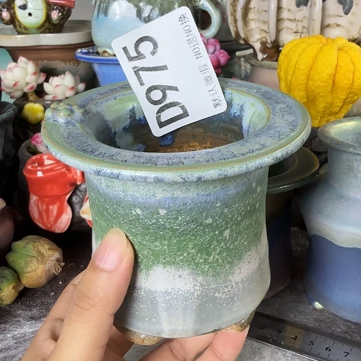 重庆小燕子欢迎大家975
