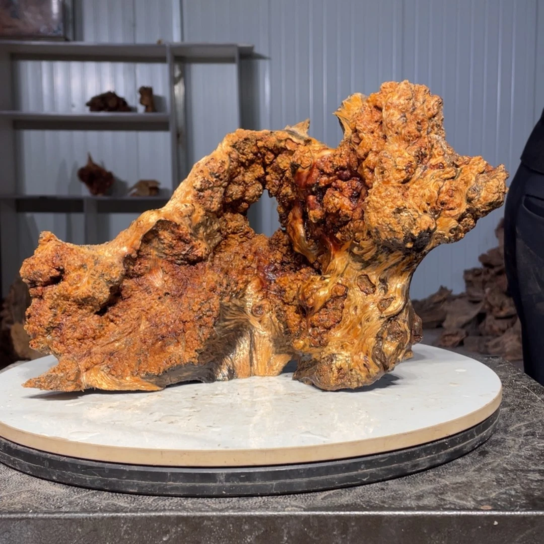 黄***）木猛子琥珀木摆件2