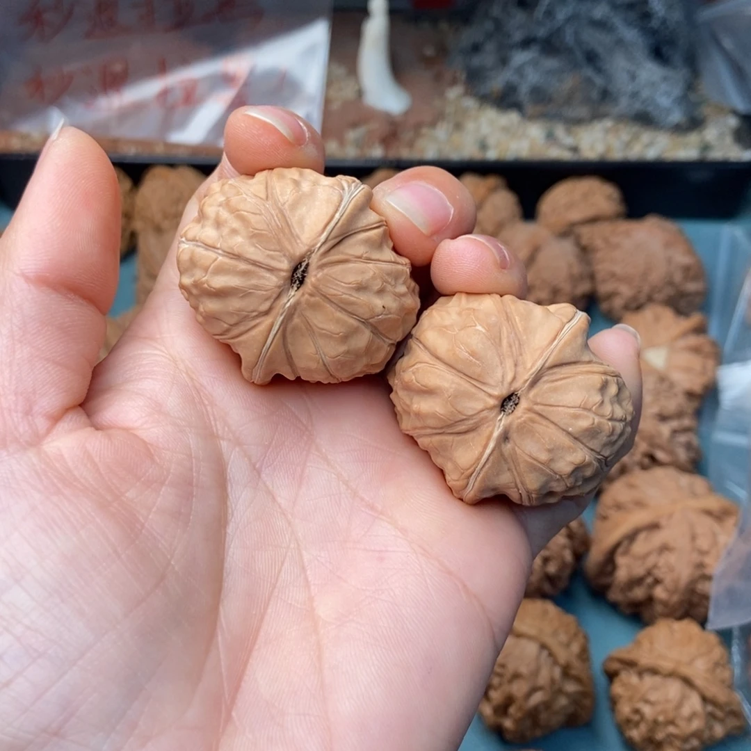 文玩核桃把件龟甲纹53