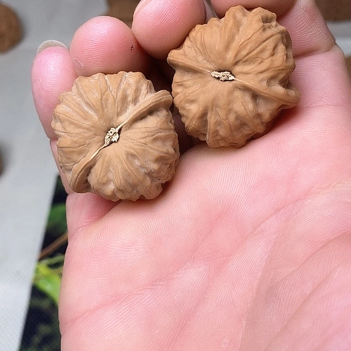 用***7文玩核桃吊坠3:73.3:3