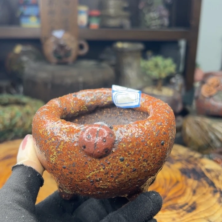 陶瓷制品不退不换68