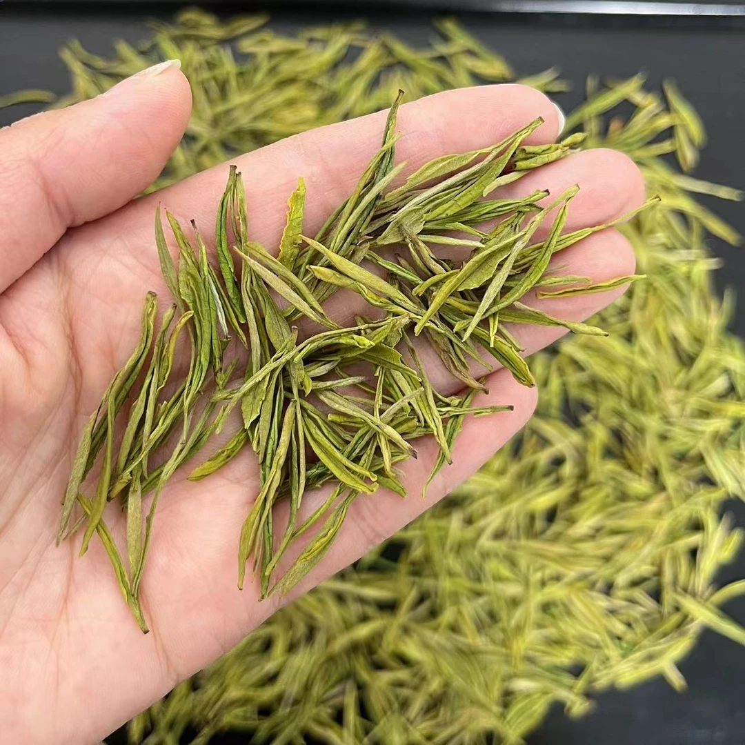 2024 奶香小芽 奶香黄金芽 经济实惠醇厚奶香