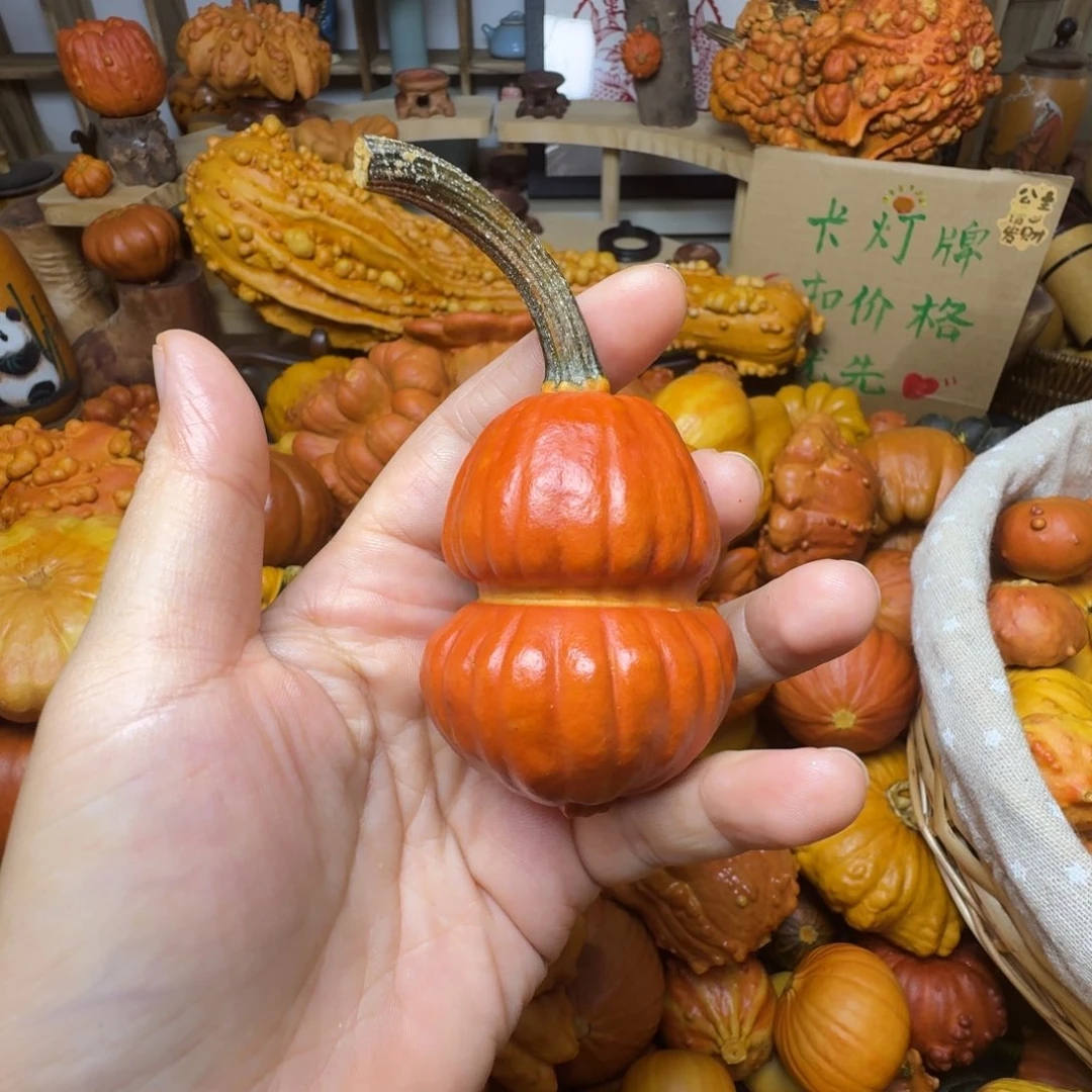 小***B特价葫芦不退不换
