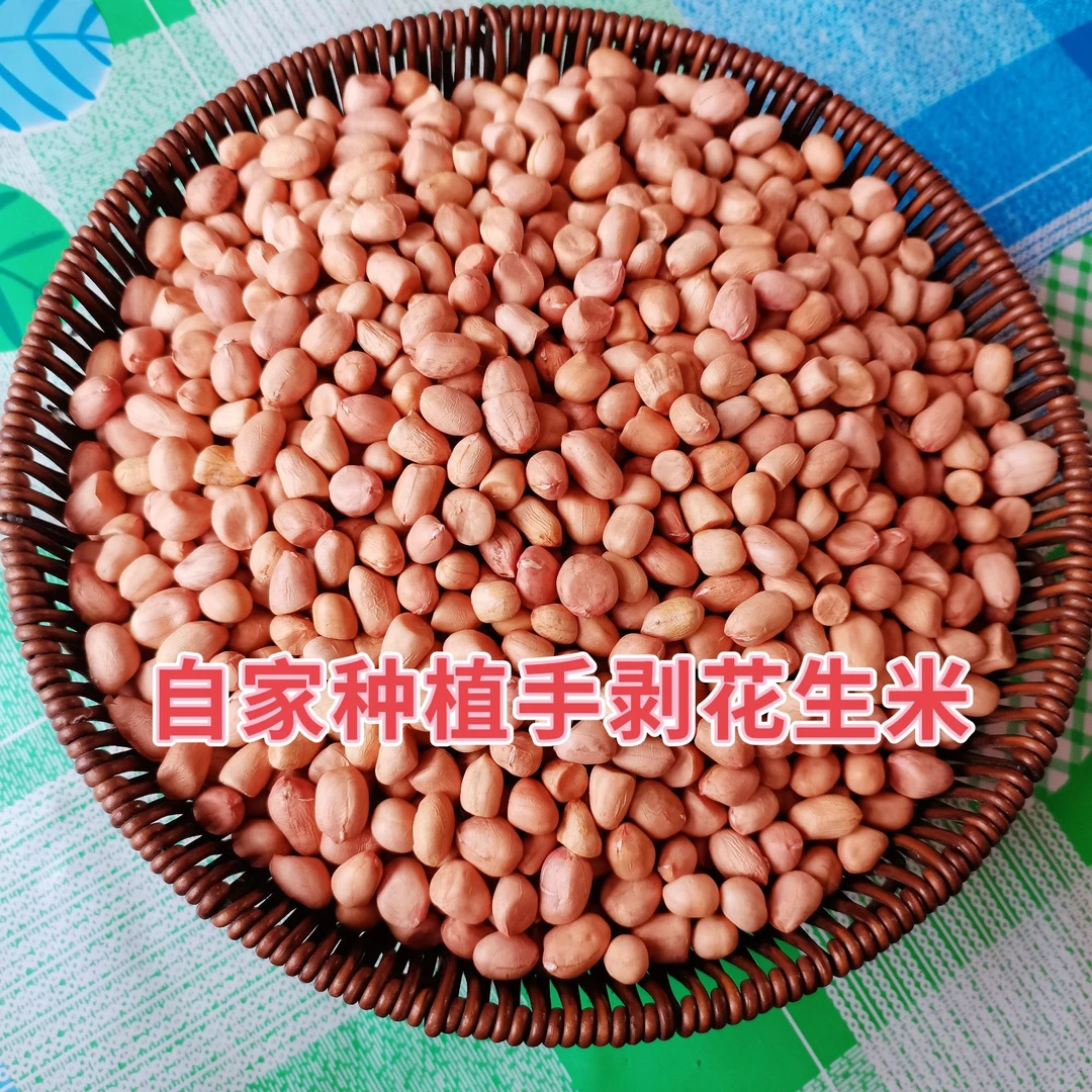 2025年10月东北农村自家手剥花生米精选新鲜粒大饱满花生米
