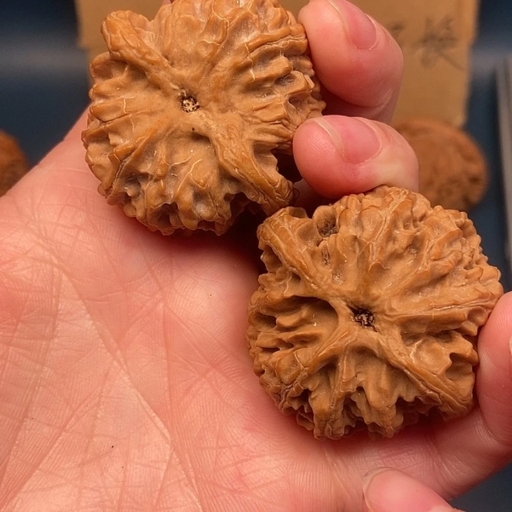 蓬***辉大大大大大大苹果