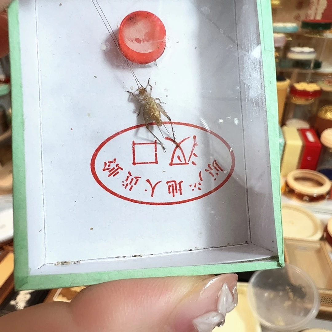 可***冰哈哈哈哈哈大黄两个