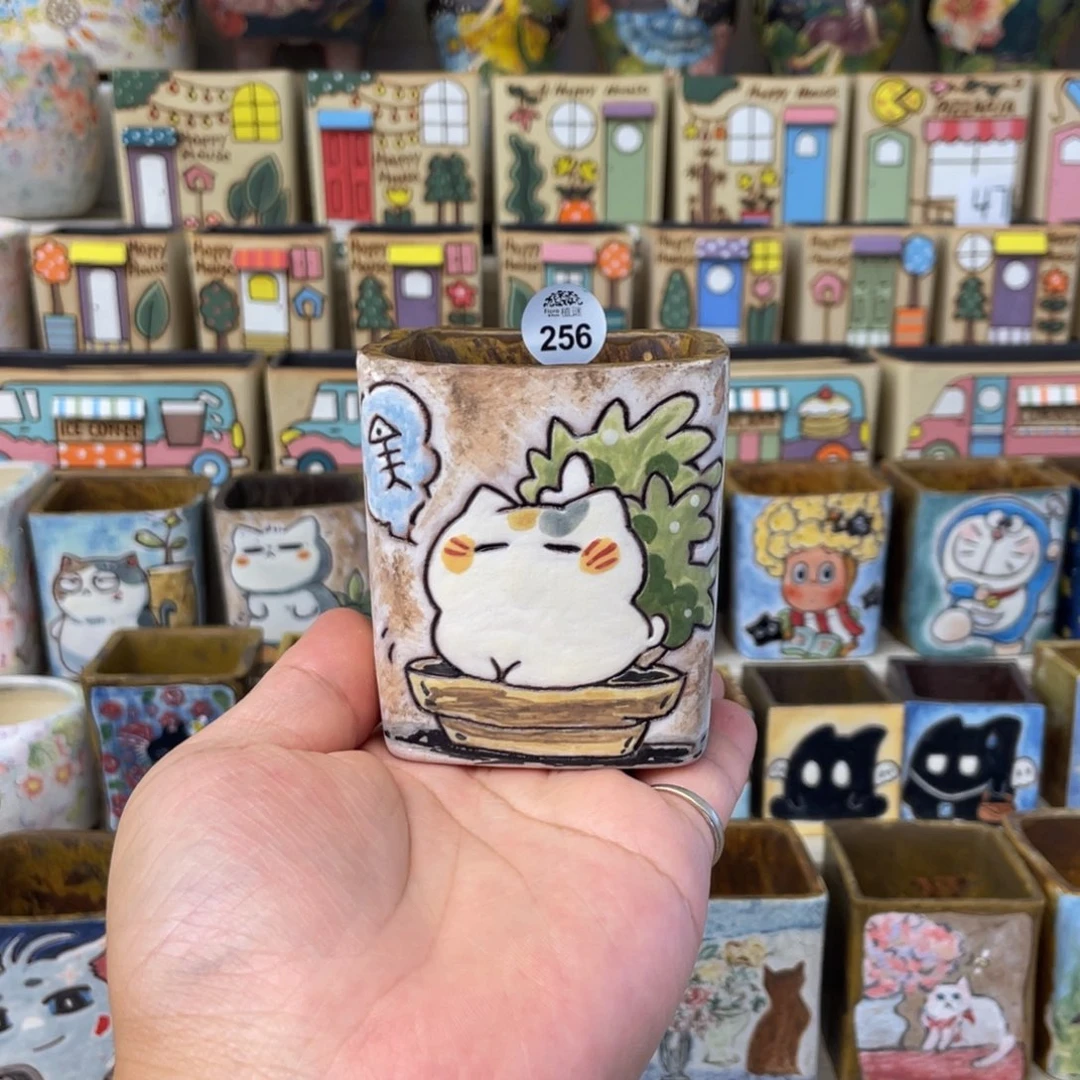 c***呀岷江可爱小猫256。