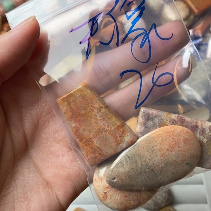 无***像未镶嵌珊瑚玉硅化玉