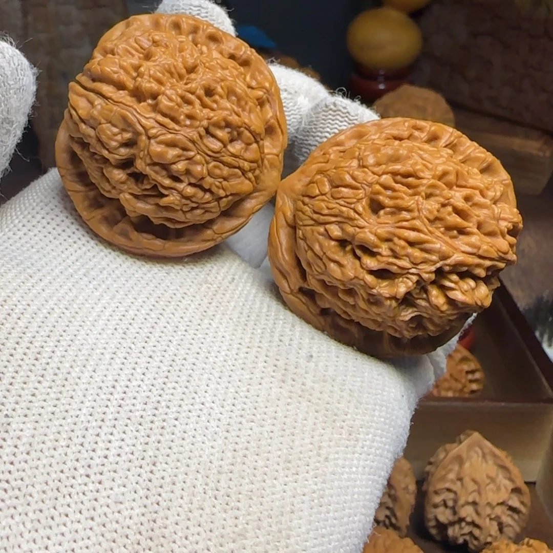 把件文玩核桃水龙纹（天残角）