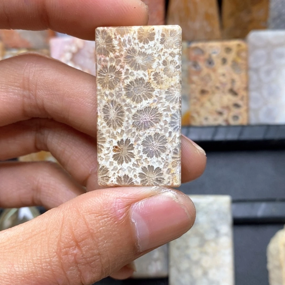 百***流硅化珊瑚（珊瑚玉）未镶嵌颈饰