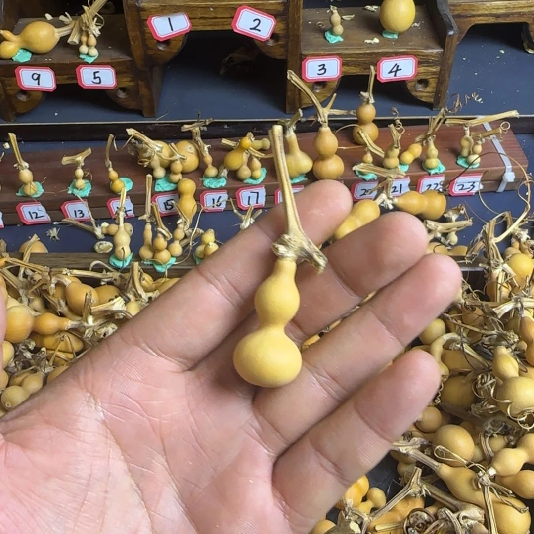 孑*我是一只小小鸟地域鬼的人
