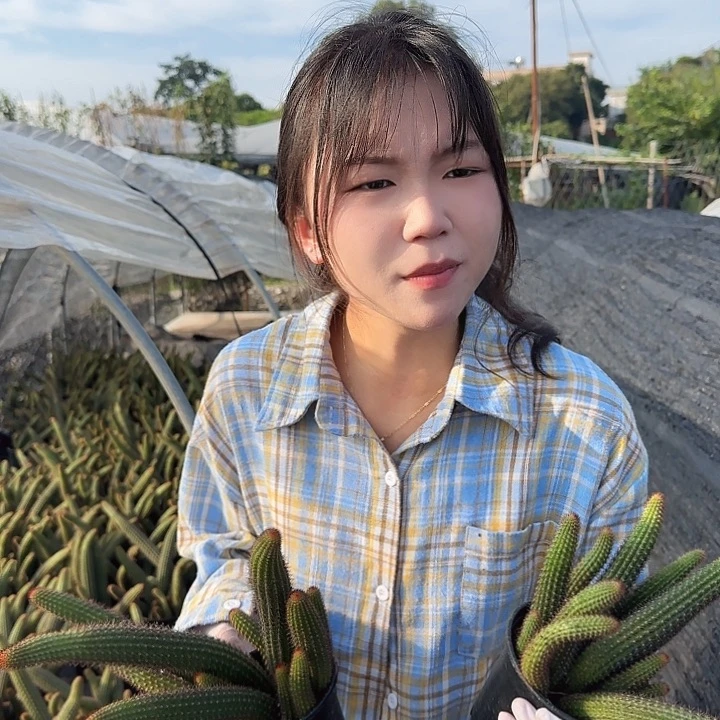 垂钓金妞两颗（掉头掉崽不售后）10头起