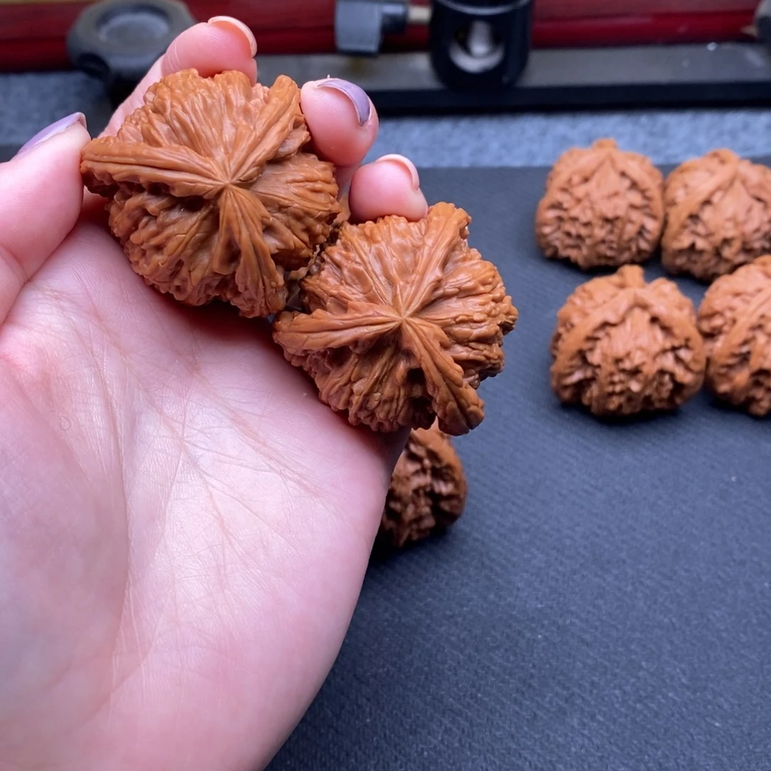 ?**?白狮子1111111