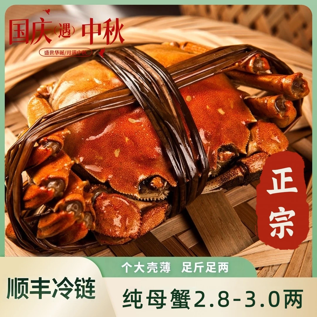 【活蟹】大闸蟹 纯母蟹 2.8-3两 10只装 顺丰冷链包邮