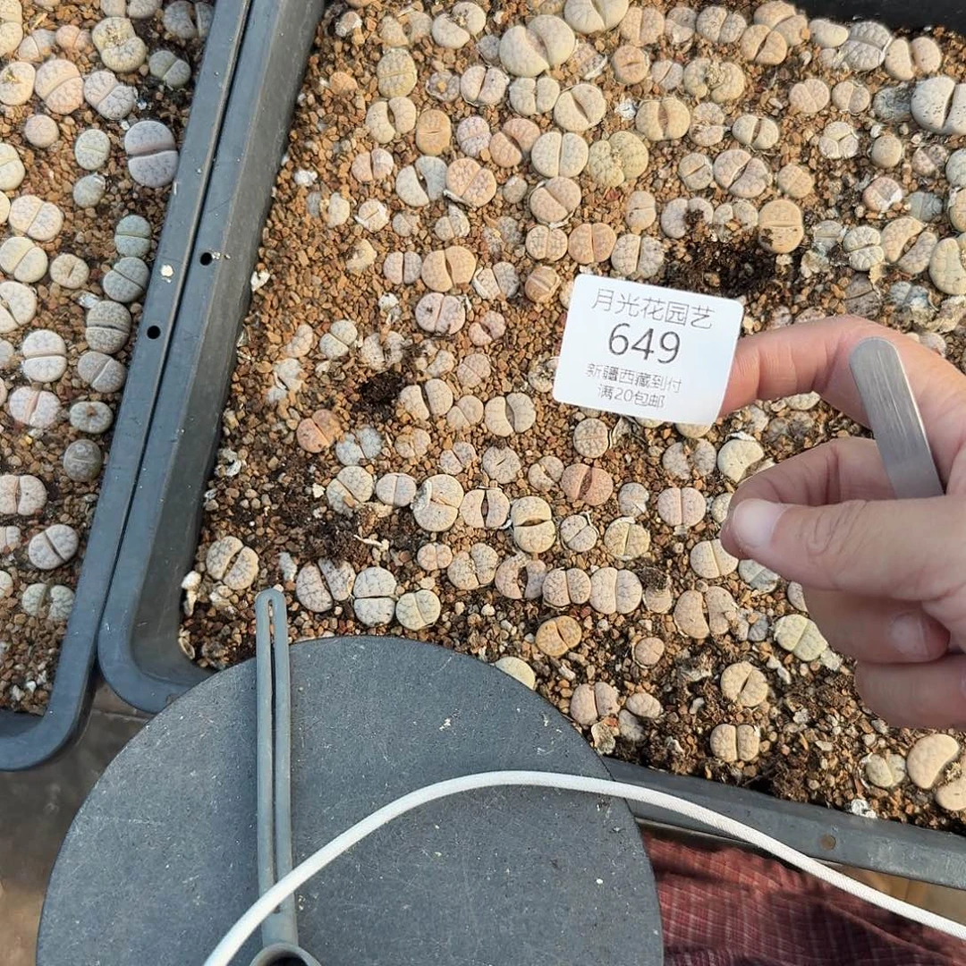 鸿***豆这个点睡起来都会梦中哭一649