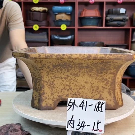 蛋**容紫砂花盆中香气飘扬