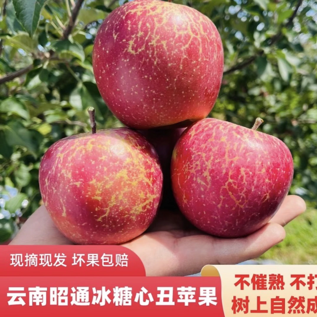 云南昭通冰糖心丑苹果冰糖心苹果新鲜应季水果现摘现发脆甜