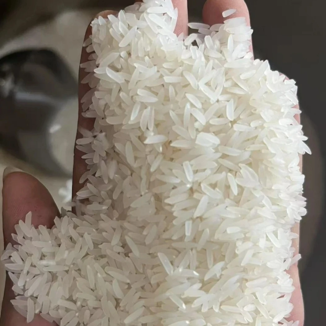 贵州黎平高山梯田野香优大米贵州特产长粒香米农家生态种植大米