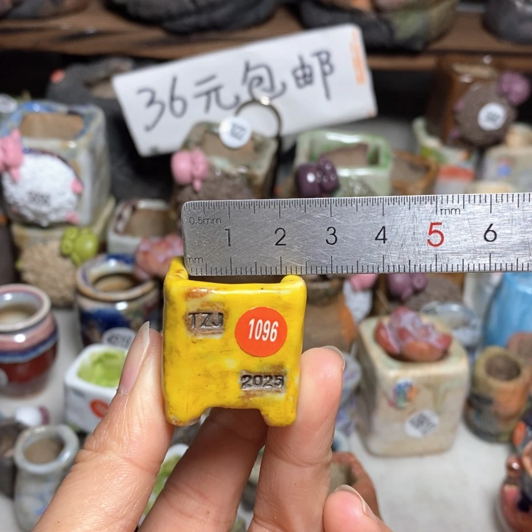 拍3送一个小礼物