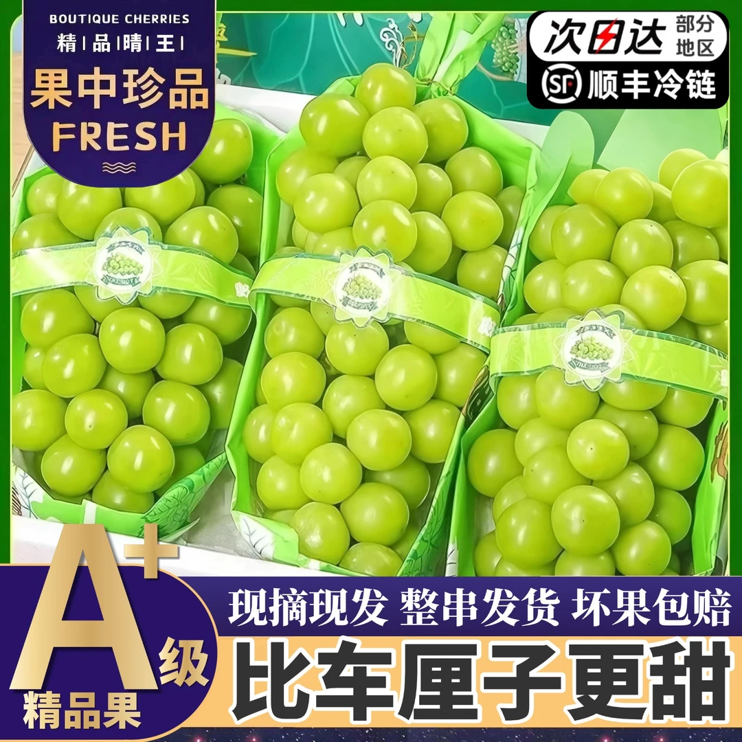 顺丰次日达【5斤大果整箱】精品阳光玫瑰葡萄当季新鲜现摘3/5斤Q
