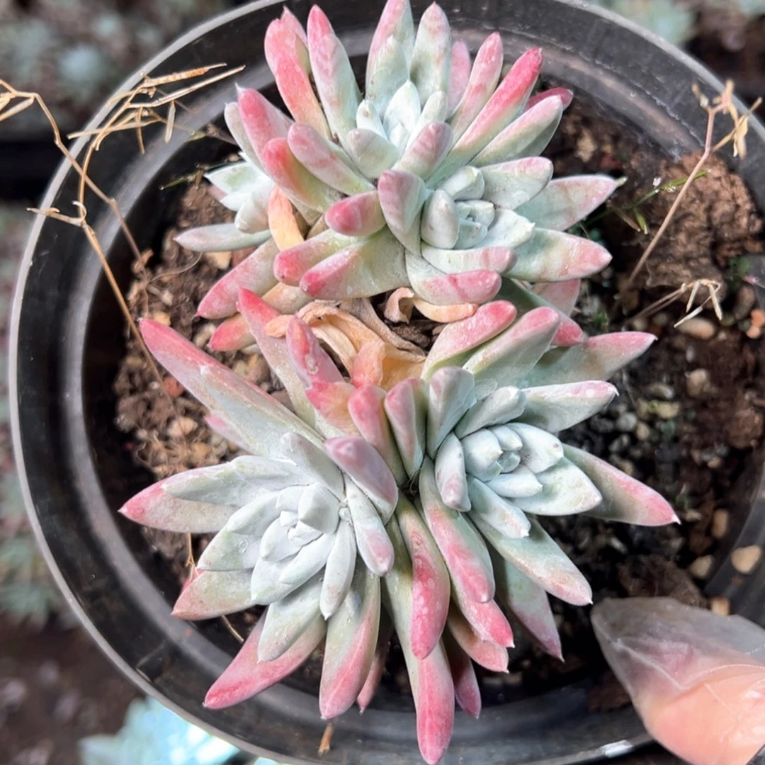 6980哈哈哈哈哈哈哈哈