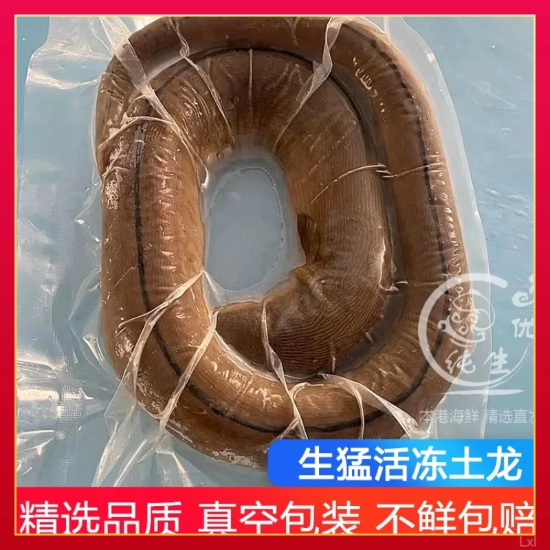 鲜活土龙野生特大杜龙深海青鳗冰鲜海鳗滋补炖汤新鲜优选推荐