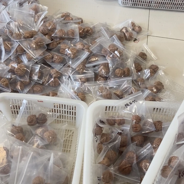 吊坠文玩核桃团圆蛙坑破烂