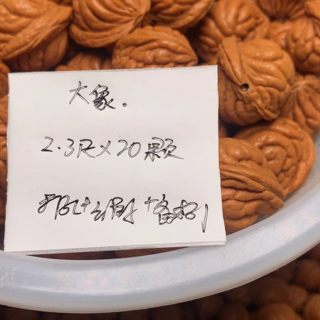 龙纹桃核霸王龙—