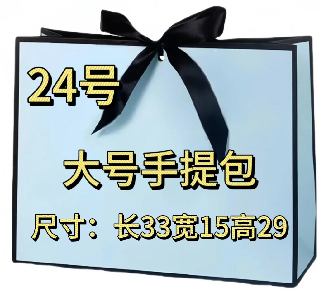 24号经典休闲百搭单肩包A77020-9