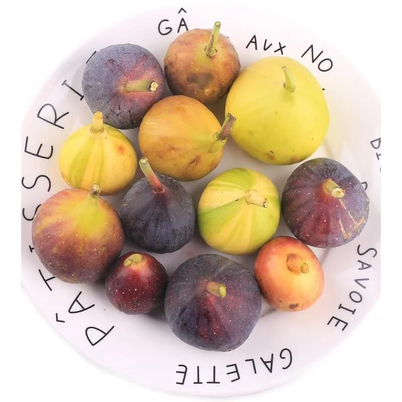 格莱斯久留米无花果苗早熟盆栽阳台花园庭院别墅绿植南北皆可种植