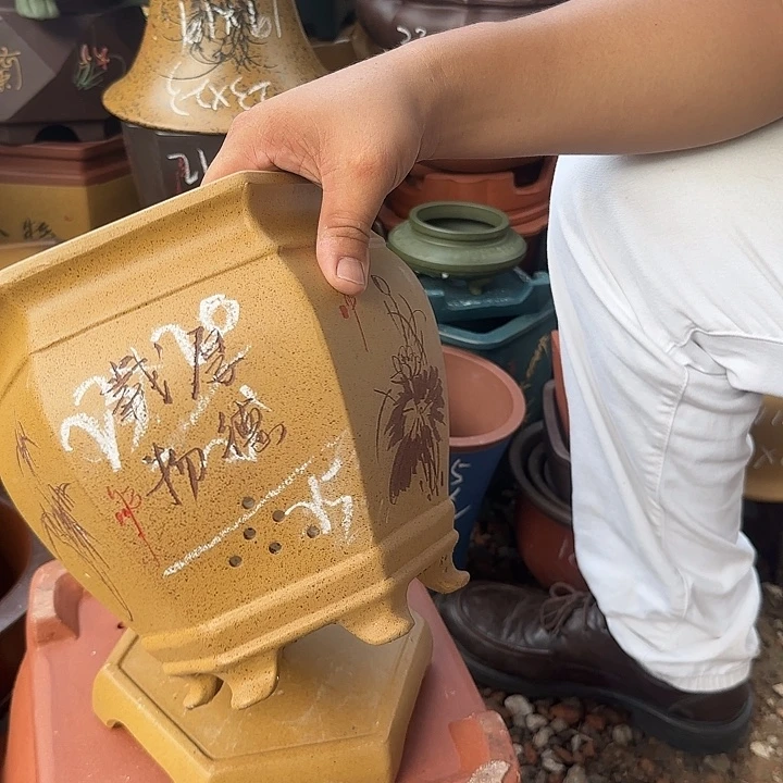 紫砂花盆紫砂花盆
