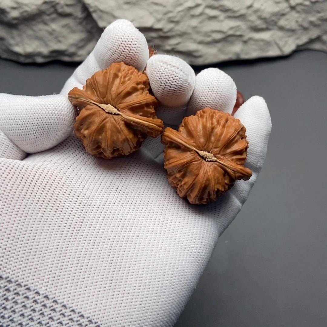 文玩核桃吊坠39白狮子