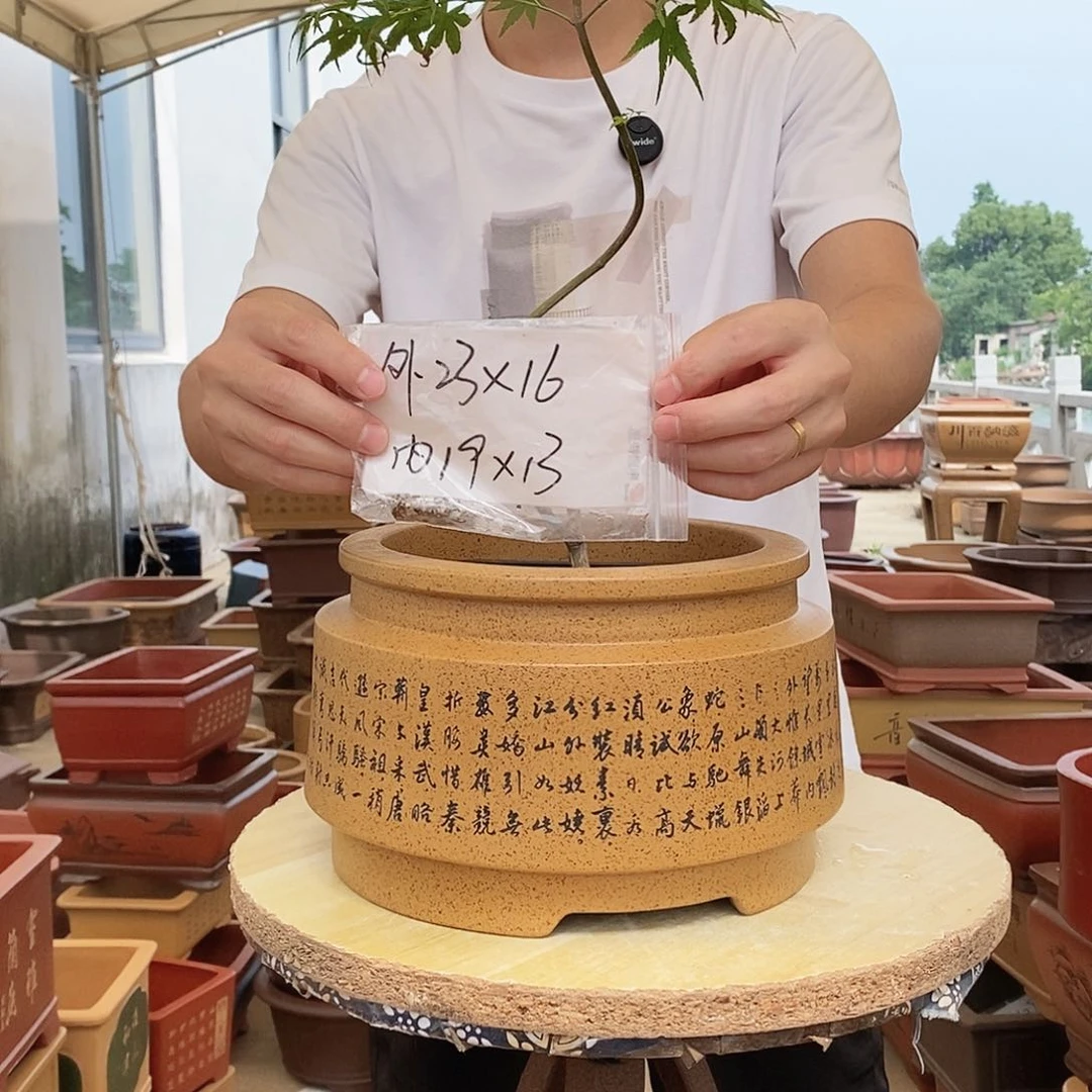 紫砂花盆紫砂花盆