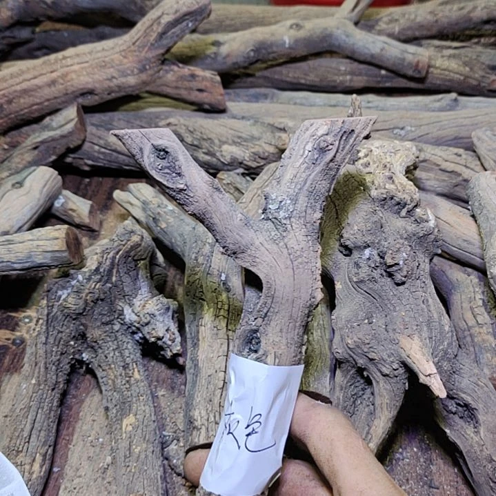 黑***,火琉璃原杈不保沉水慎拍！