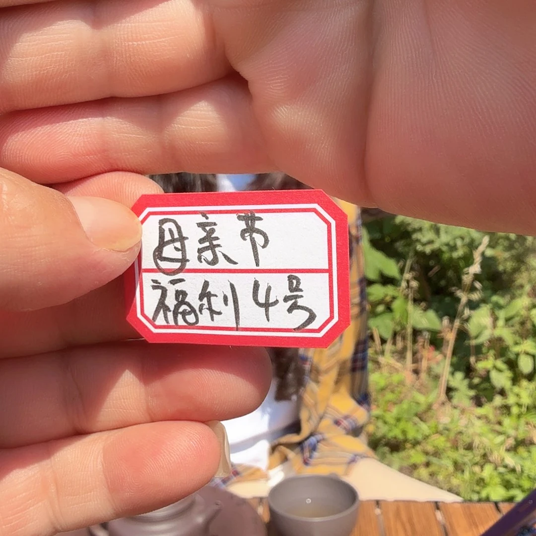 茶壶紫砂原矿紫砂福利4号