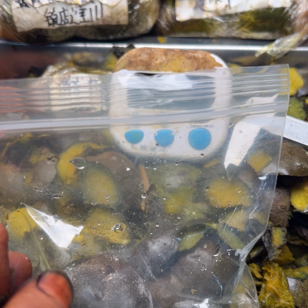 ****手出j你奶奶不姐姐你姐姐