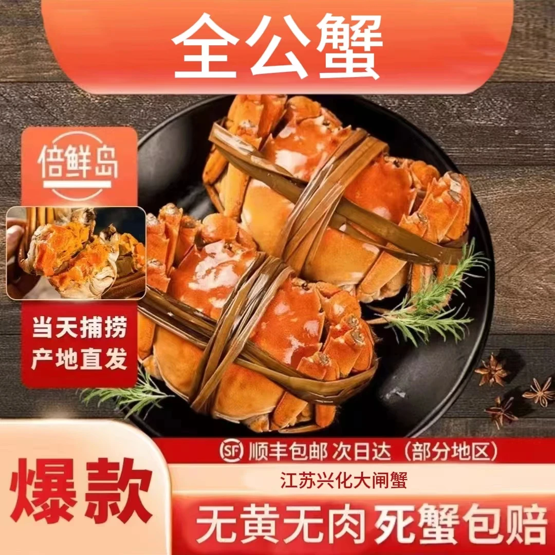 【活蟹】公蟹3两10只江苏兴化大闸蟹