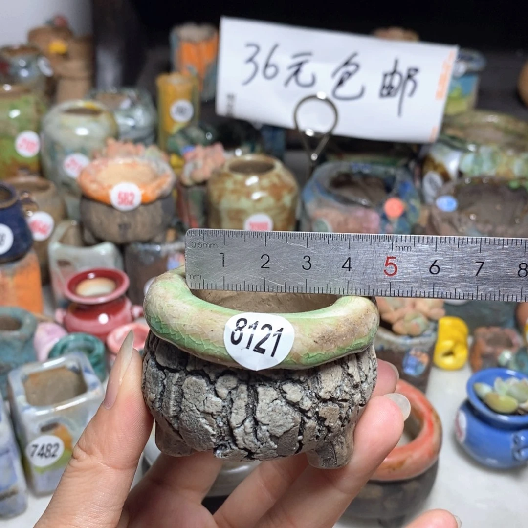 拍3送一个小礼物