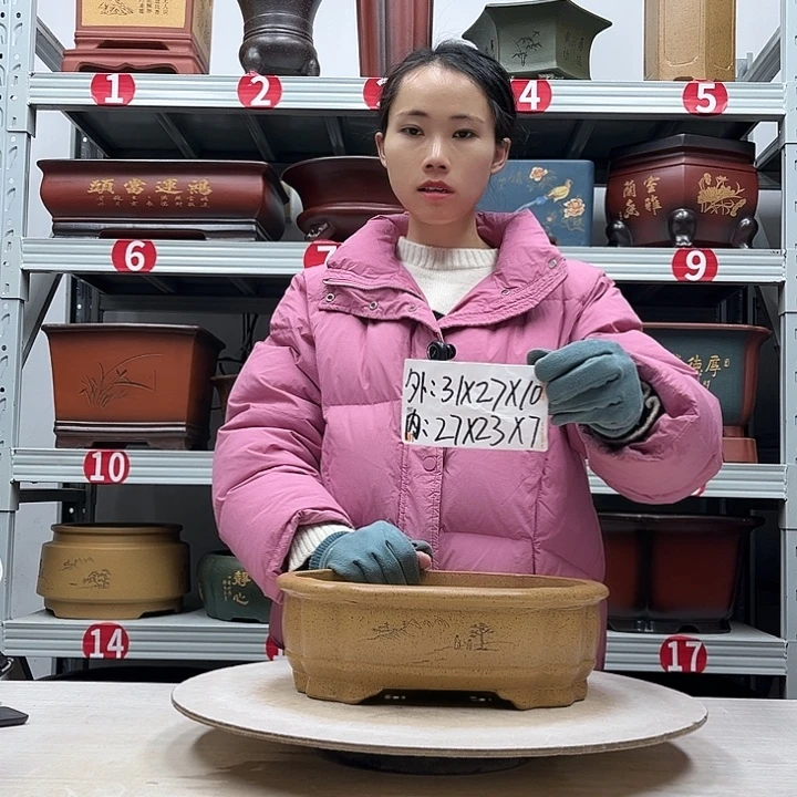 紫砂花盆紫砂花盆