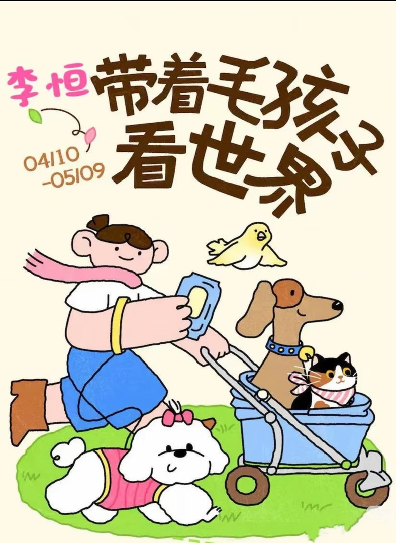 初级宠物技能包扩ppt/Excelpracticai