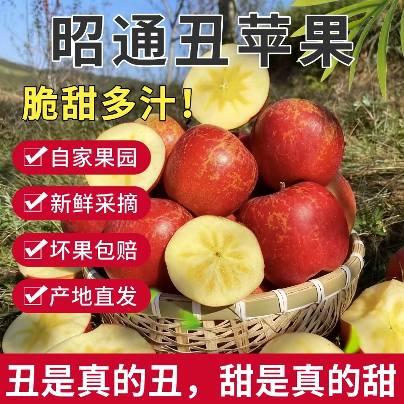 【现摘现发】3斤云南昭通丑苹果冰糖心脆甜多汁新鲜当季水果精品果