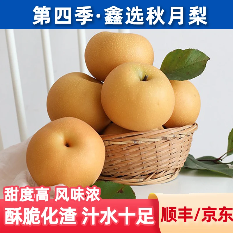 鑫选 第四季山东莱阳秋月梨4-7.3斤 香甜爆汁 新鲜直采 顺丰/京东