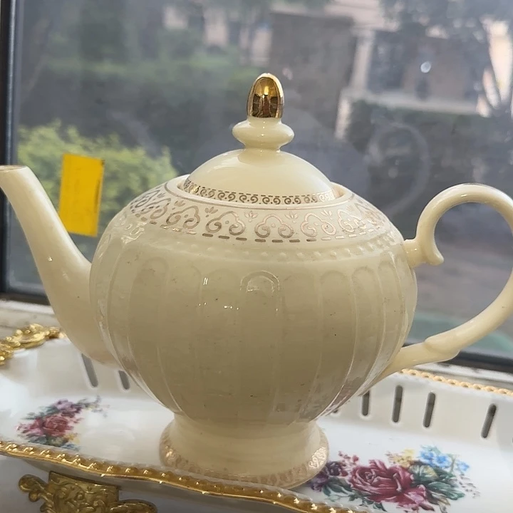 外贸尾单微瑕 壶一个