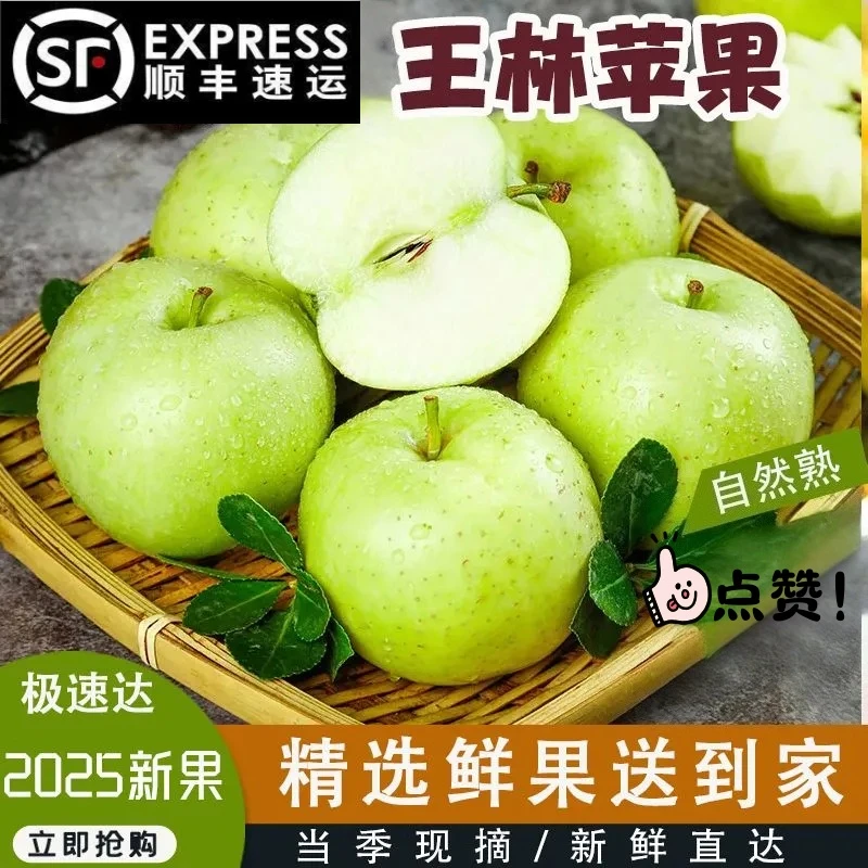 【现摘现发】头茬王林青苹果清甜多汁爽口顺丰包邮当季新鲜水果