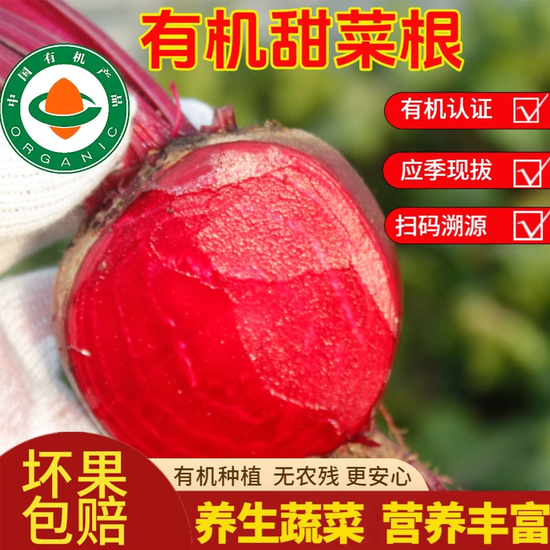 有机认证2025现挖红菜头新鲜甜菜根火焰菜脆嫩多汁紫菜头3斤